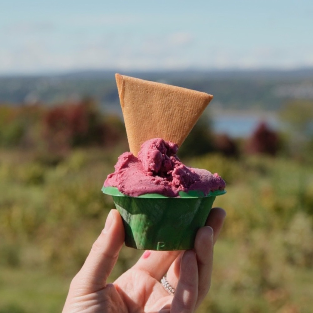 Meet your Posher, Adina